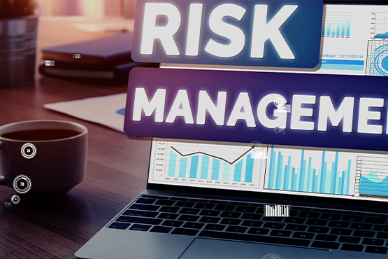 Risk Management Consulting